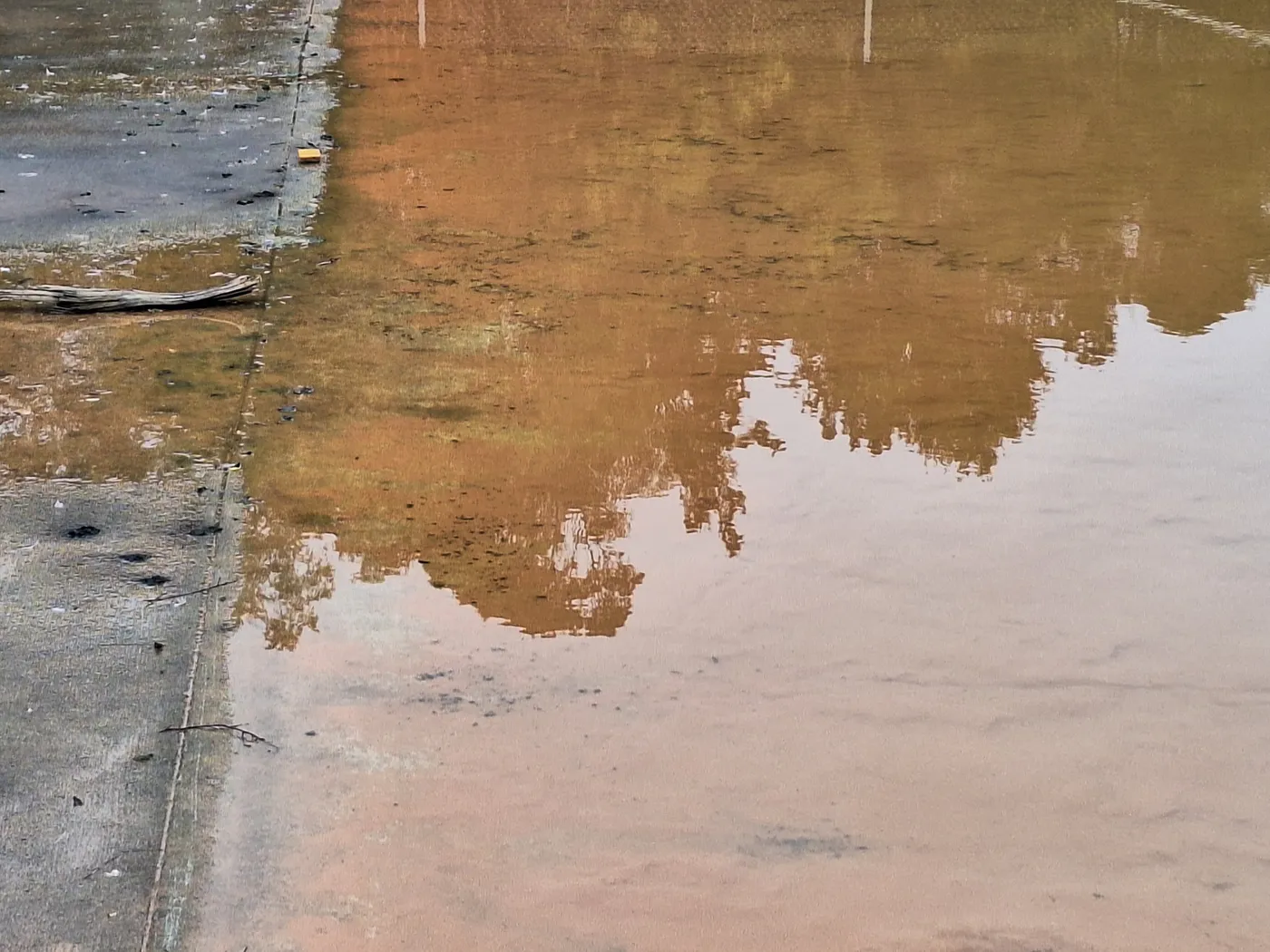 Detail view of basin water and the basin edge